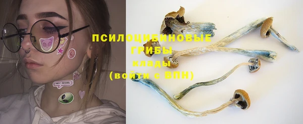 дмт Абинск
