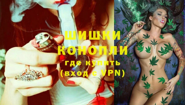 бошки Абаза