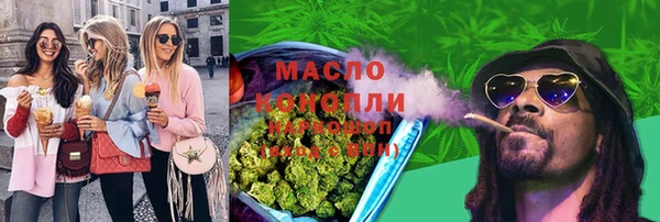дмт Пестово