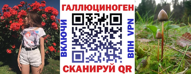 Галлюциногенные грибы GOLDEN TEACHER  KRAKEN рабочий сайт  Шарыпово 